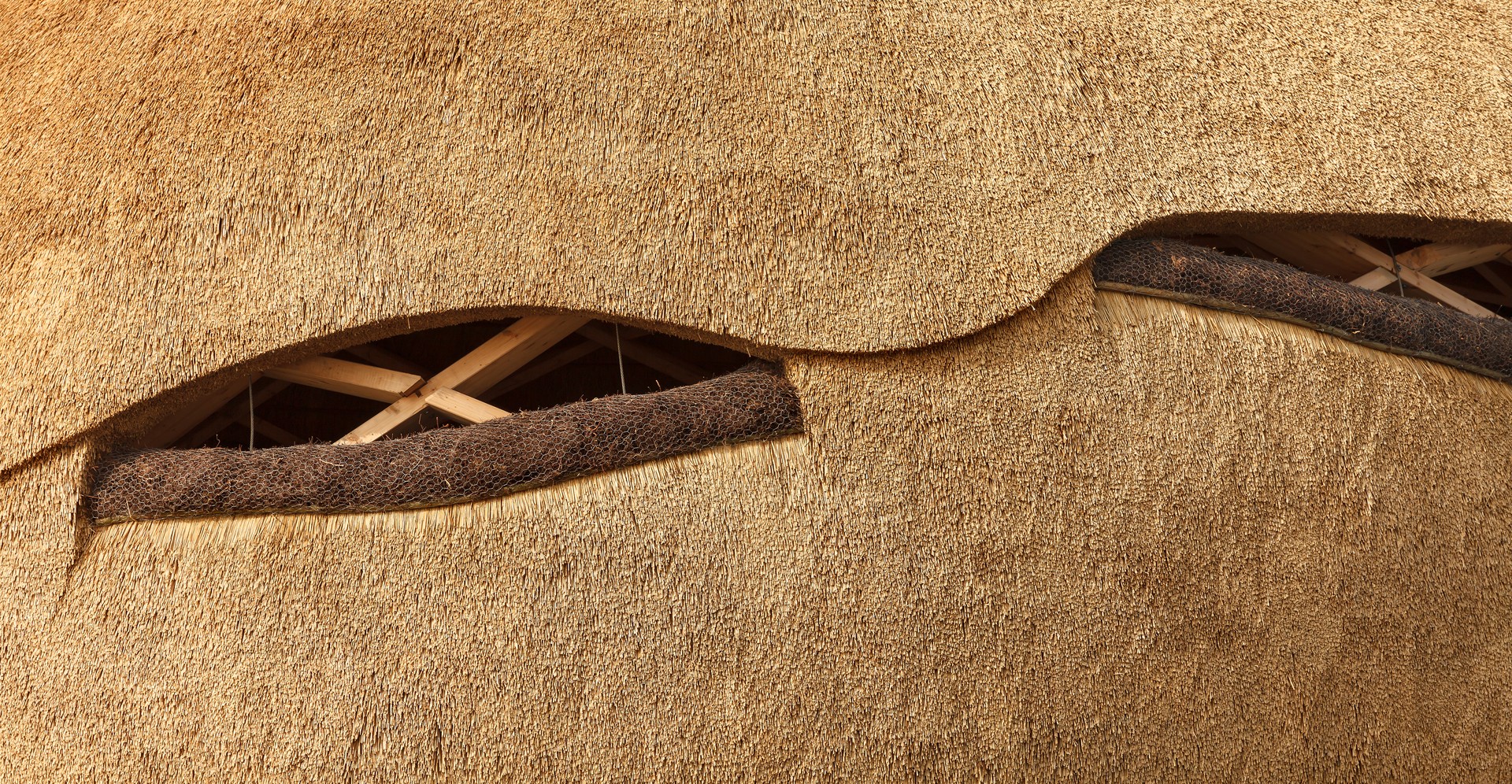 KatjaEffting_ROAD_Bird-Ei_031_low KatjaEffting_ROAD_Bird-Ei_031_low.jpg