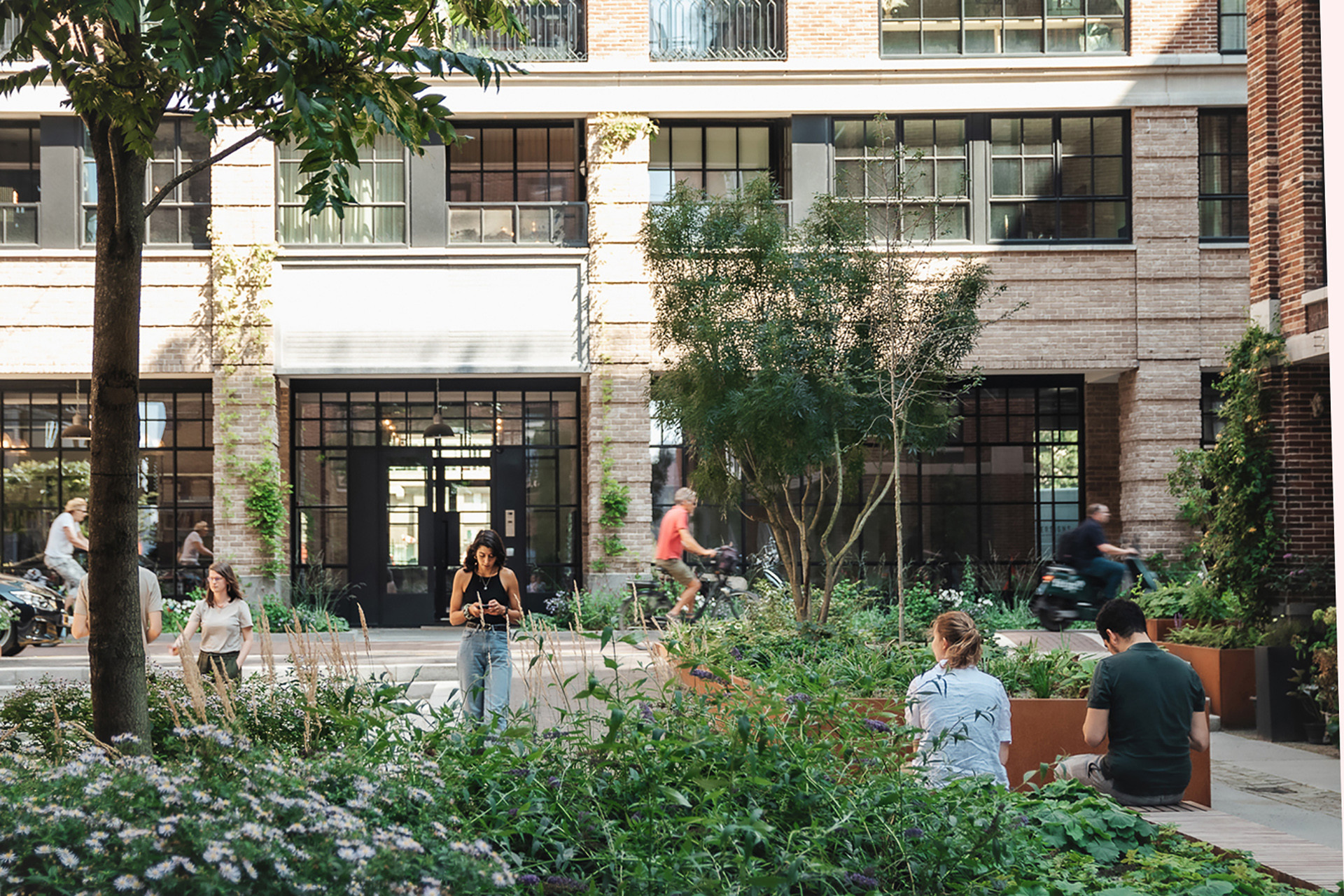 005_Little_C_2021_©Jose David Heras Barros 005_Little_C_2021_©Jose David Heras Barros.JPG