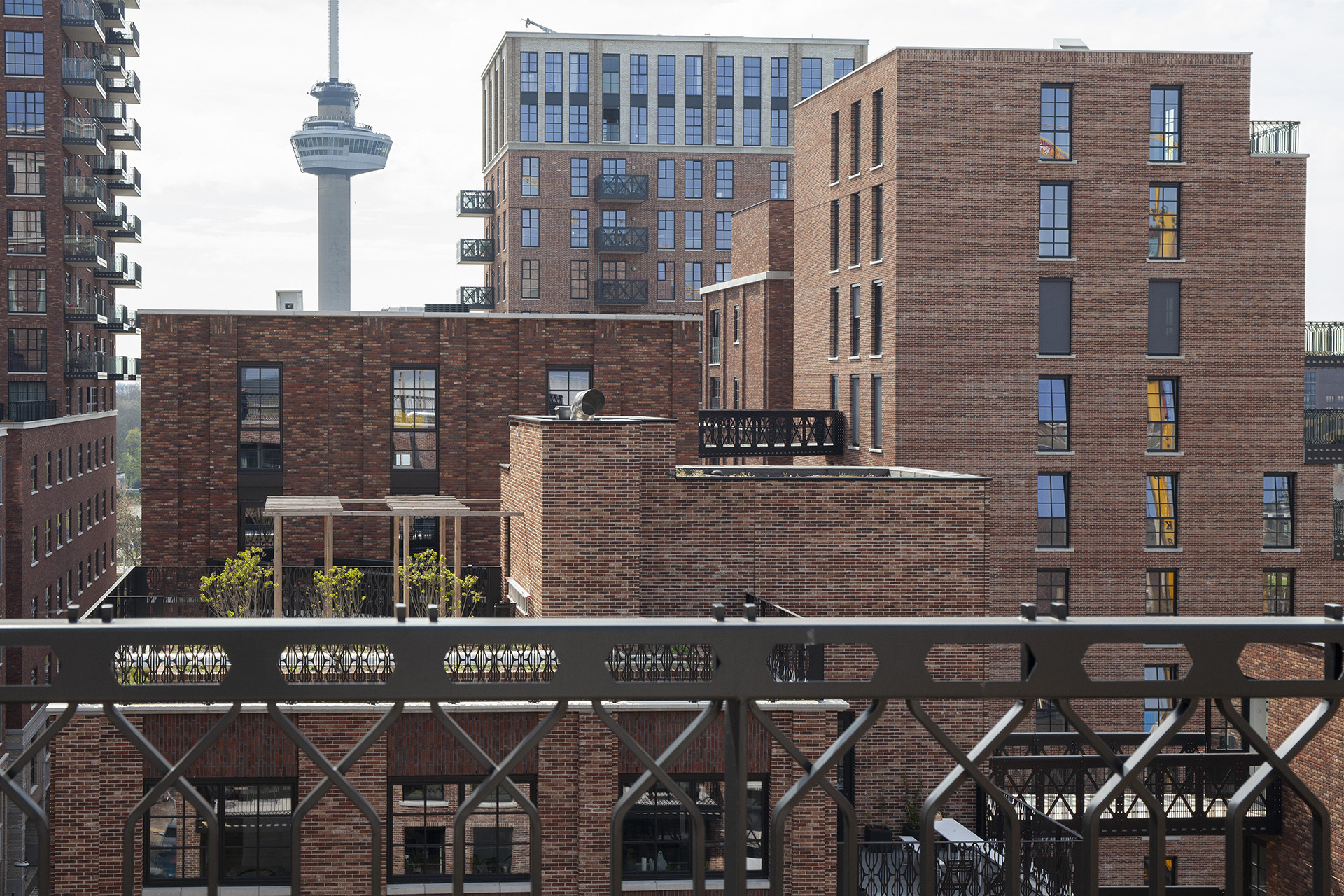 006_Little_C_©Annet Delfgaauw 006_Little_C_©Annet Delfgaauw.JPG