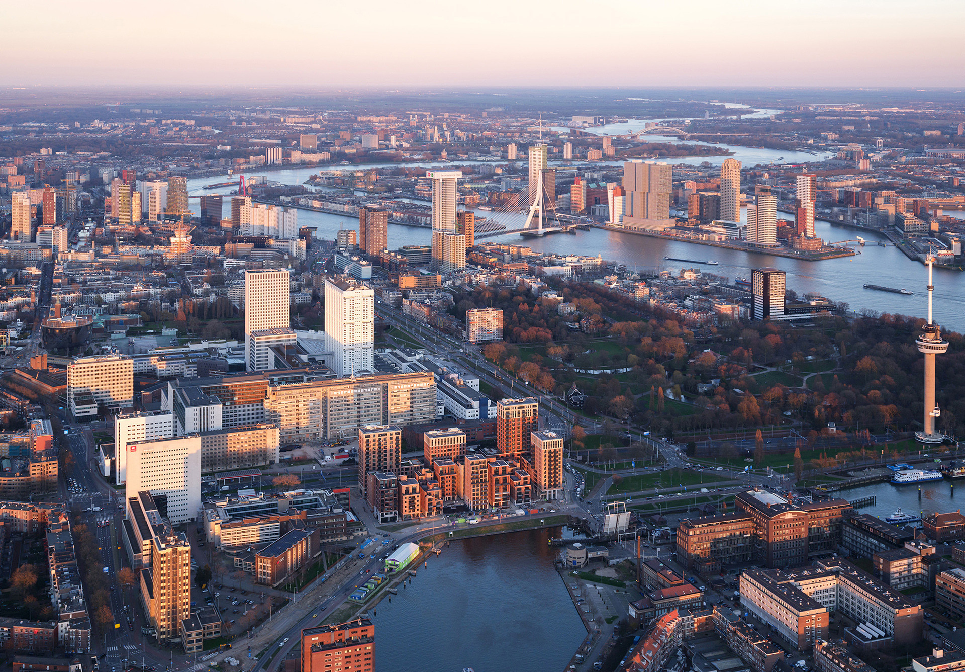 002_Little_C_2021_©Ossip van Duivenbode 002_Little_C_2021_©Ossip van Duivenbode.JPG