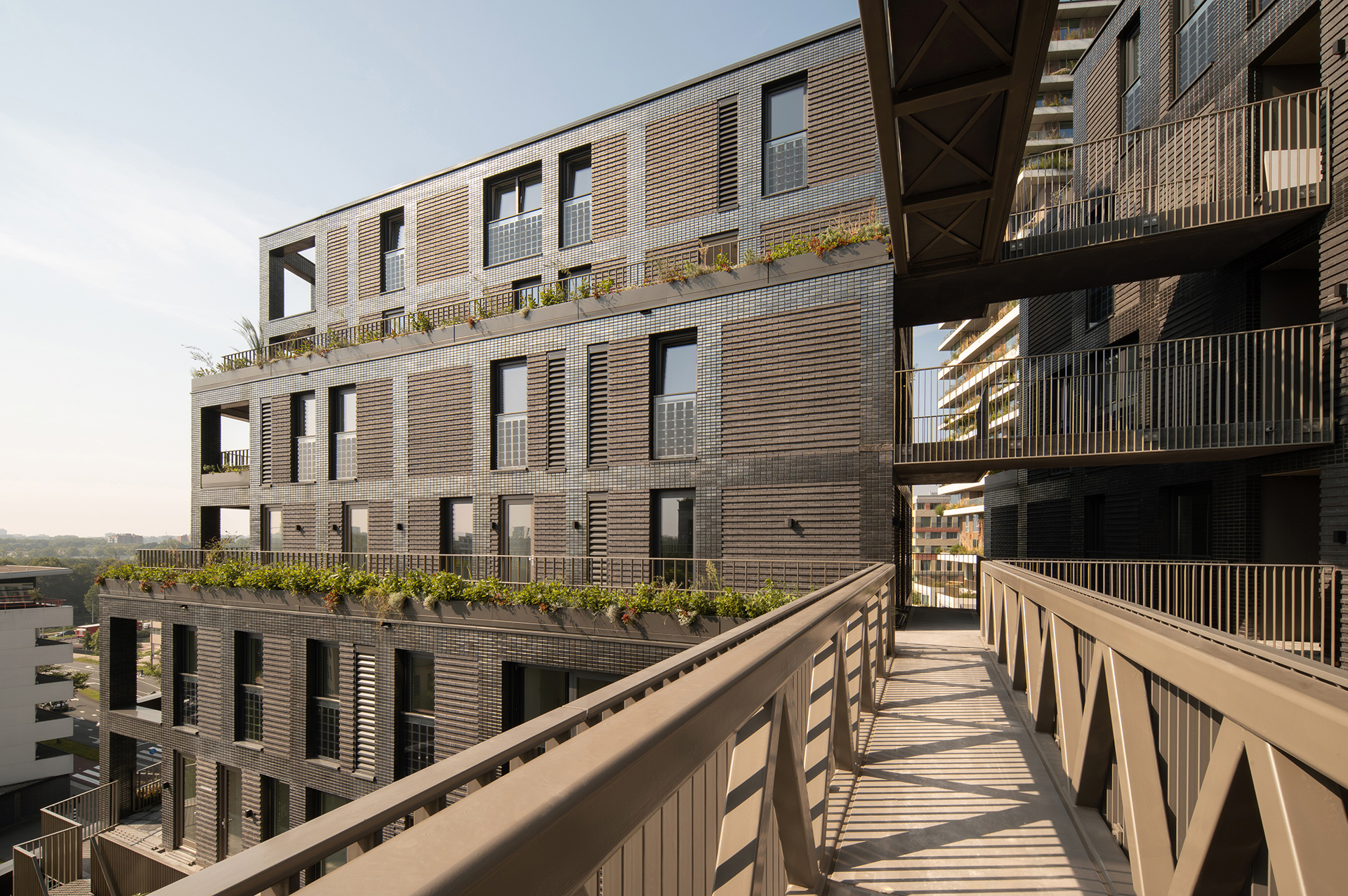 MOtown_De Zwarte Hond_©Aiste Rakauskaite-6