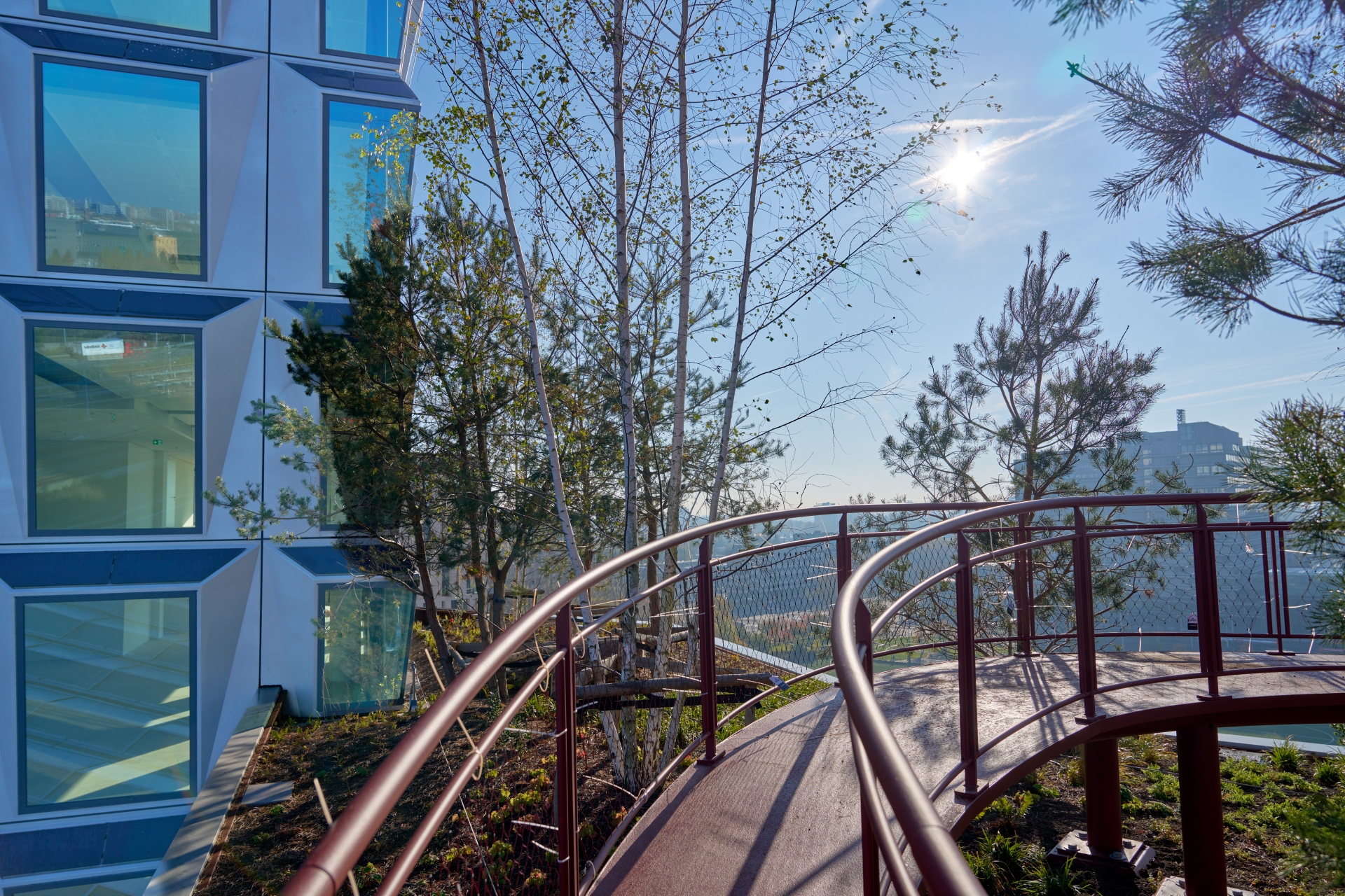 The Pulse of Amsterdam 6