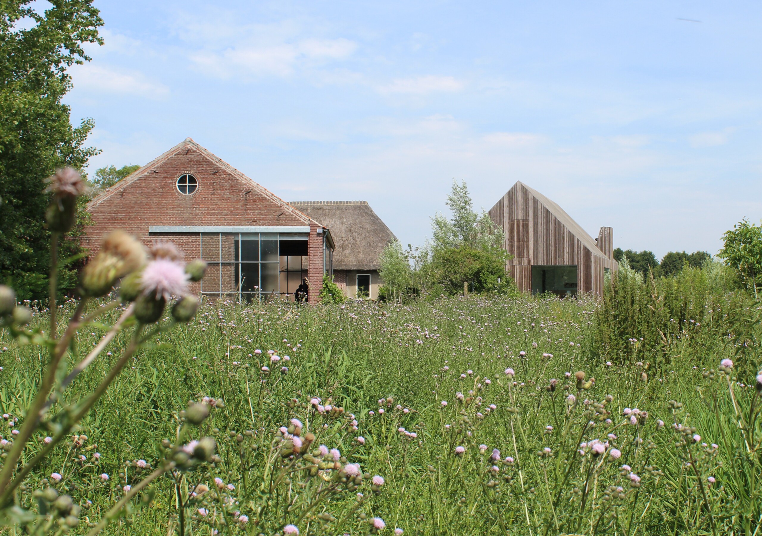 Potato Shed - Hoofdfoto