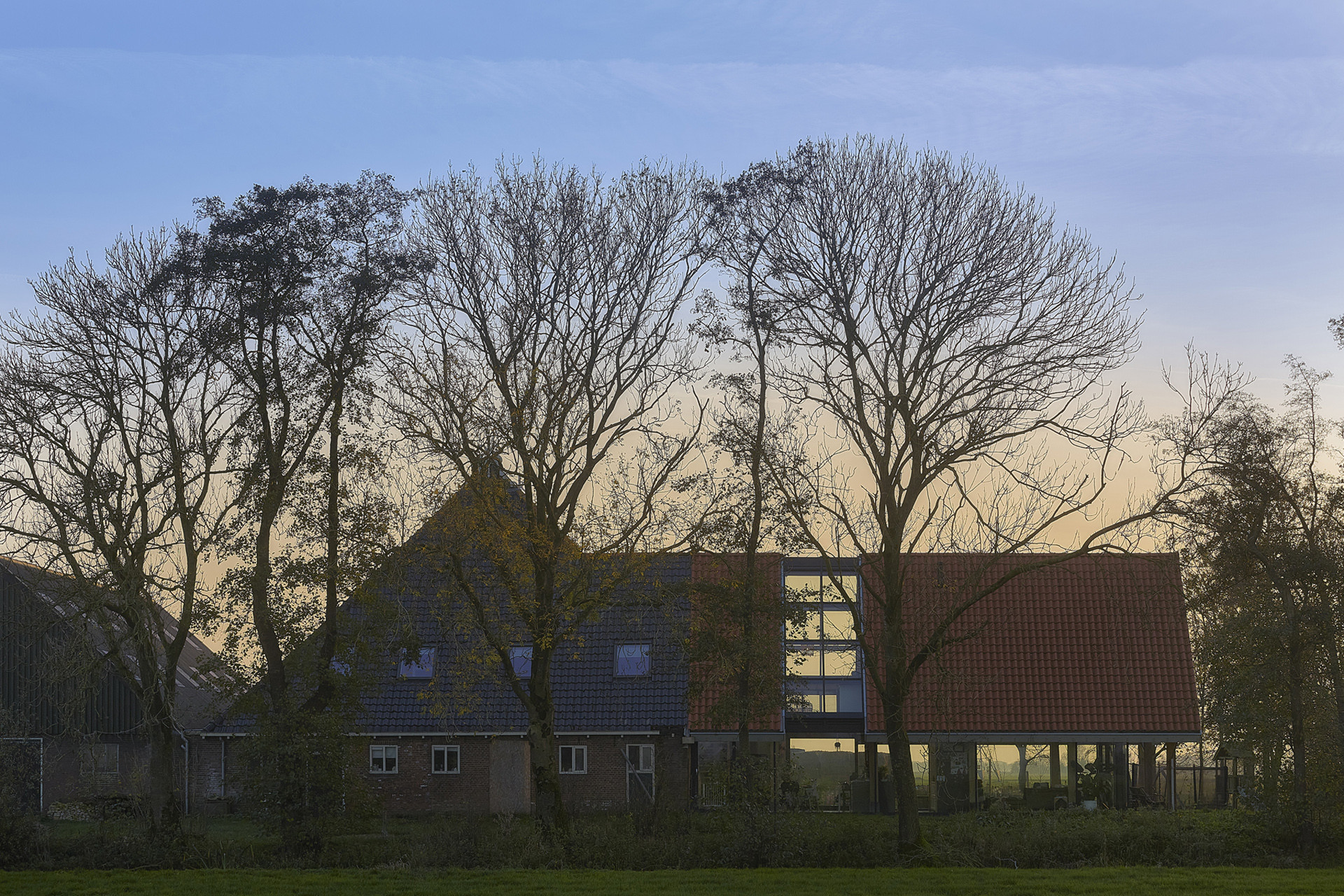 Boer Brunia - Hoofdfoto