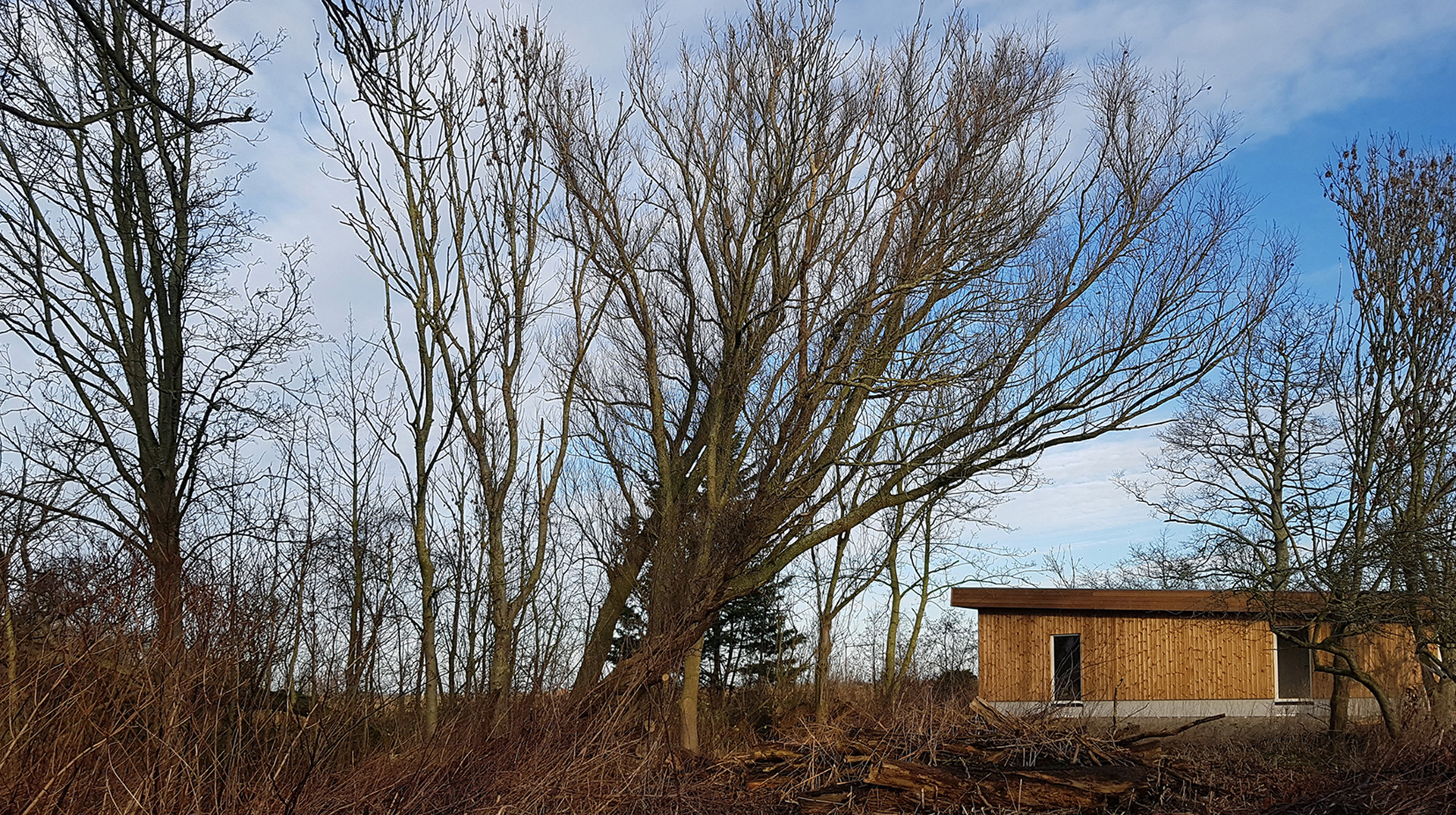 Kleine aanwezigheid - Hoofdfoto