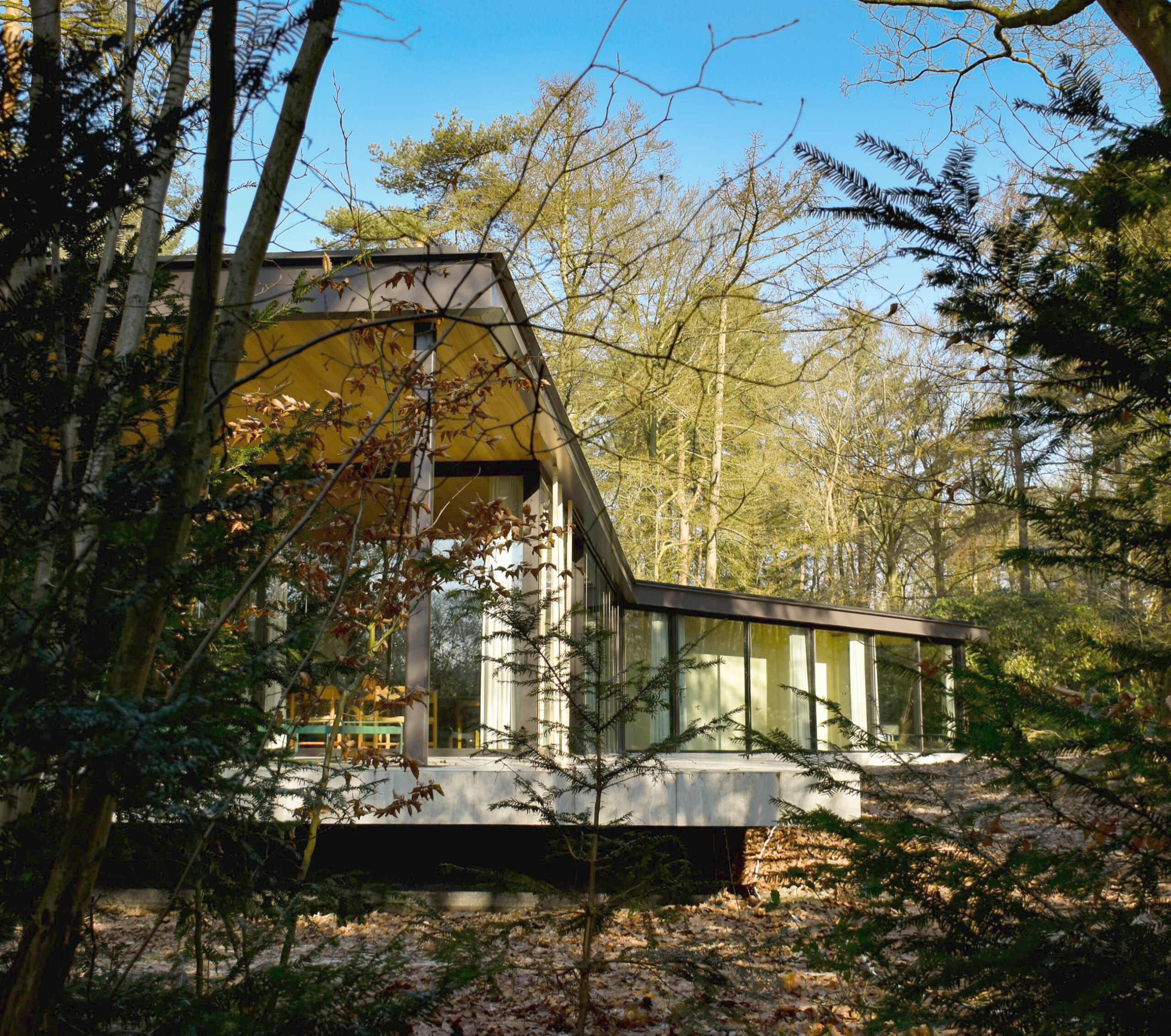 Bospaviljoen Vaassen - Hoofdfoto