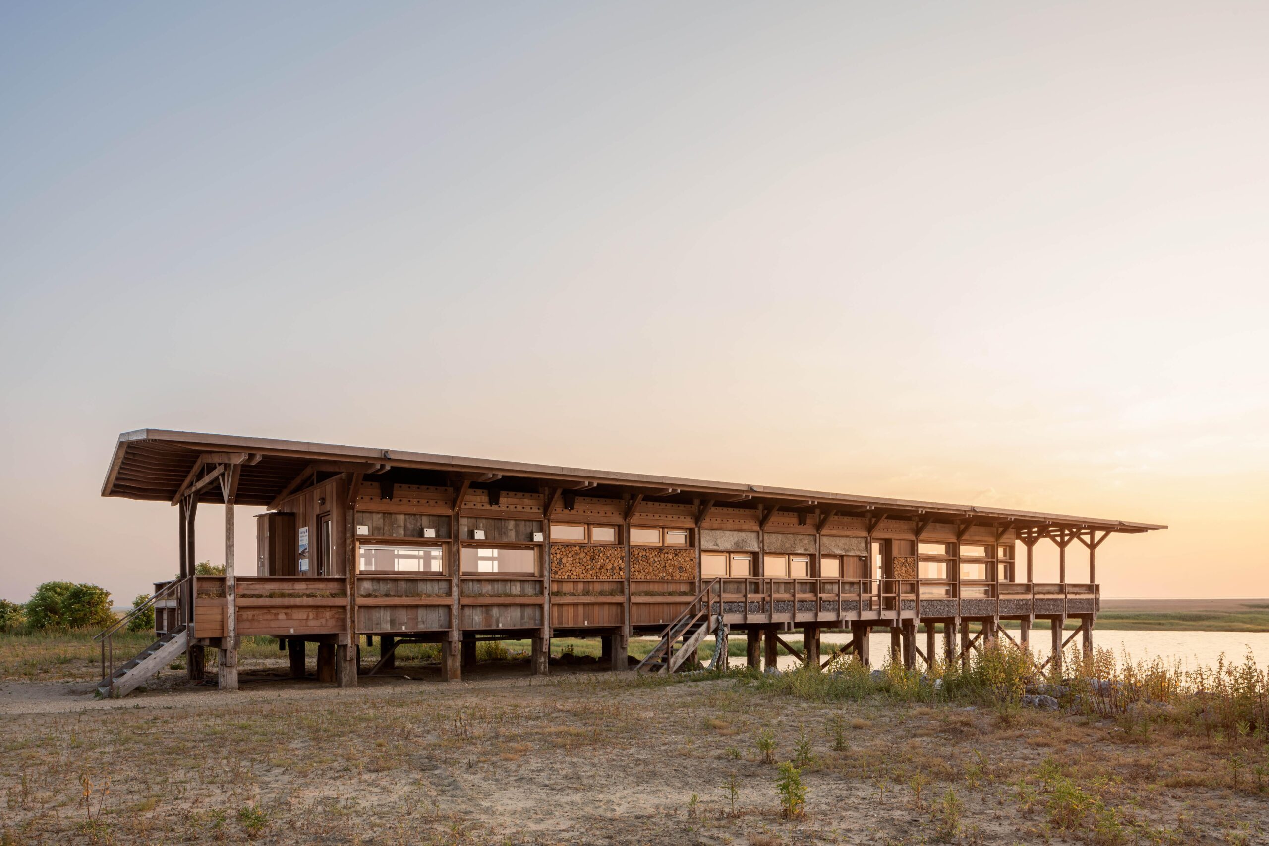 Veldstation Groot Saeftinghe - Foto 7